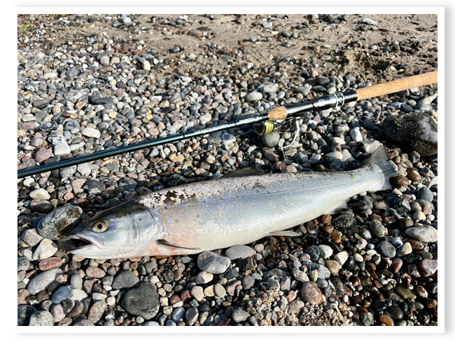 Bewegte Zeiten und abwechslungsreiche Angelei auf Bodden und Ostsee