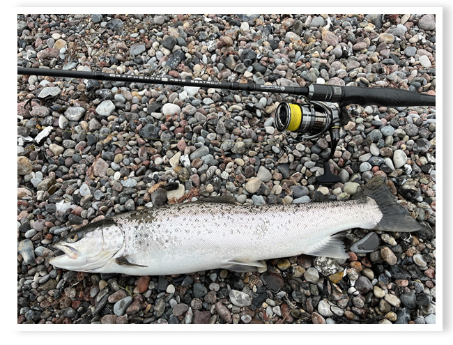 Bewegte Zeiten und abwechslungsreiche Angelei auf Bodden und Ostsee