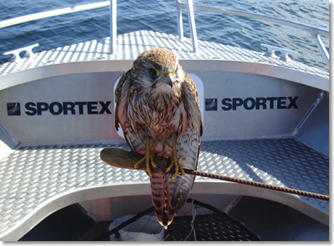 Start in die Herbstsaison