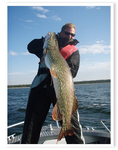 Goldener Herbst mit tollen Fischen