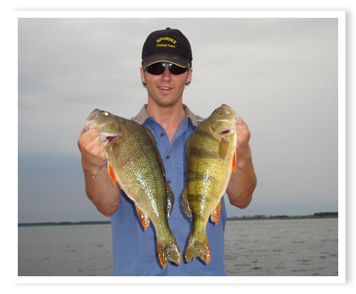 Abwechslungsreiche Sommersaison mit tollen Fischen