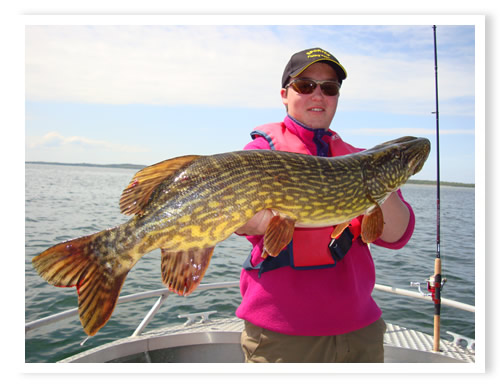 Abwechslungsreiche Sommersaison mit tollen Fischen