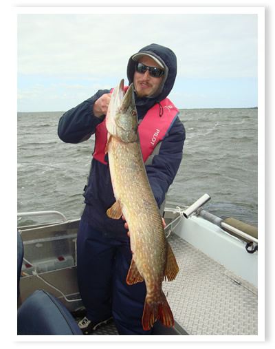 Gute Sommerfischerei auf Dorsch und Hecht