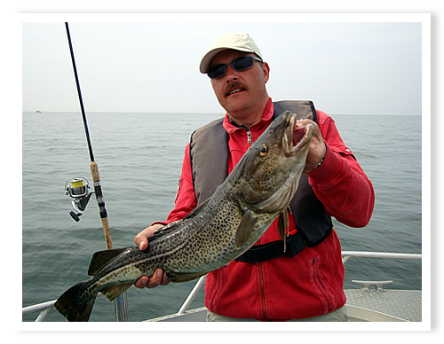 Barsch Angeln vom Feinsten