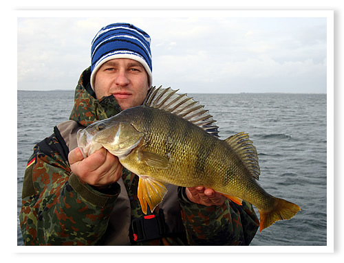 Ein weiteres Angeljahr mit vielen schnen Erlebnissen