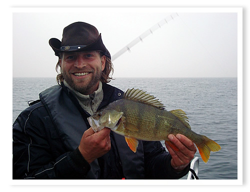 Eine wechselhafte, zweite Jahresh�fte 2014