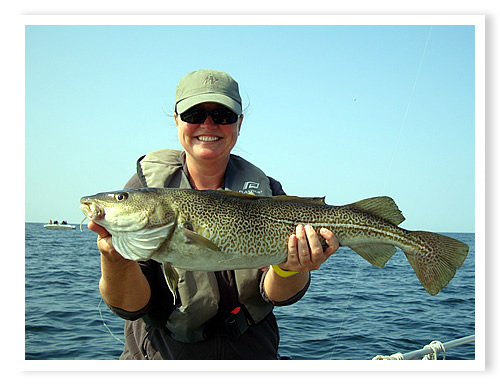 Eine wechselhafte, zweite Jahresh�fte 2014