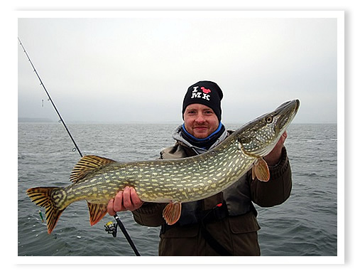 Eine wechselhafte, zweite Jahresh�fte 2014