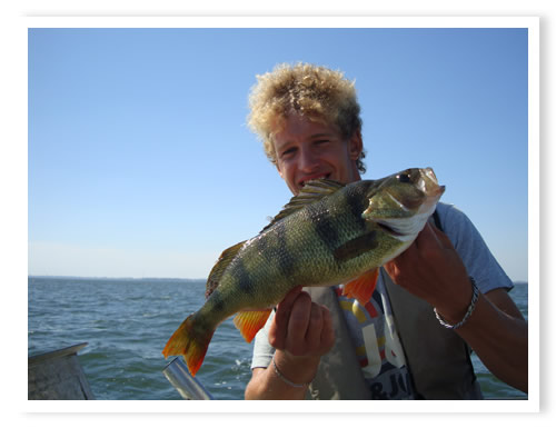 Interessantes Jahr 2015 mit einigen �berraschungen