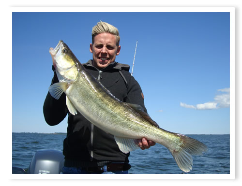 Interessantes Jahr 2015 mit einigen �berraschungen