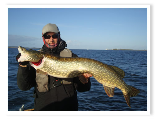 Interessantes Jahr 2015 mit einigen �berraschungen