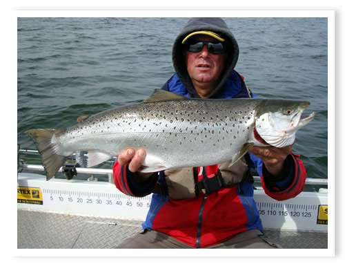 Interessantes Jahr 2015 mit einigen �berraschungen